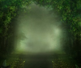Mysterious forest Stock Photo 14