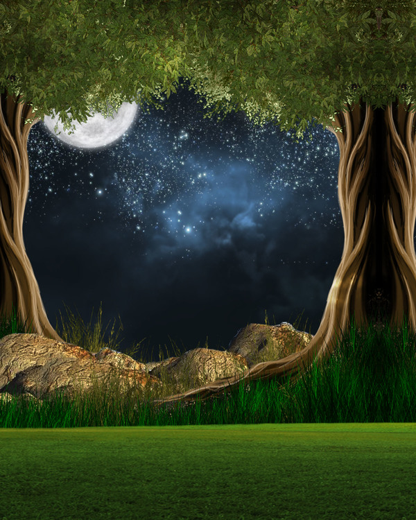 Night sky mysterious forest Stock Photo