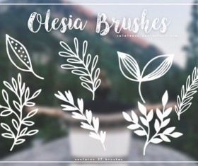 Olesia Photoshop Brushes