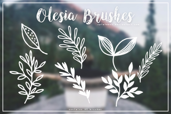 Olesia Photoshop Brushes