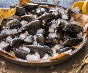Oysters on ice with lemon Stock Photo