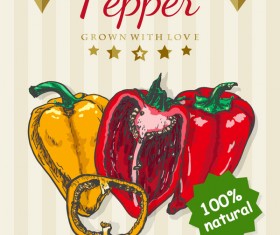 Pepper poster vector