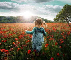 Poppy flowers with little girl Stock Photo