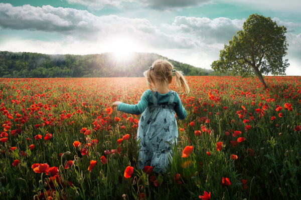 Poppy flowers with little girl Stock Photo