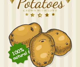 Potatoes poster vector