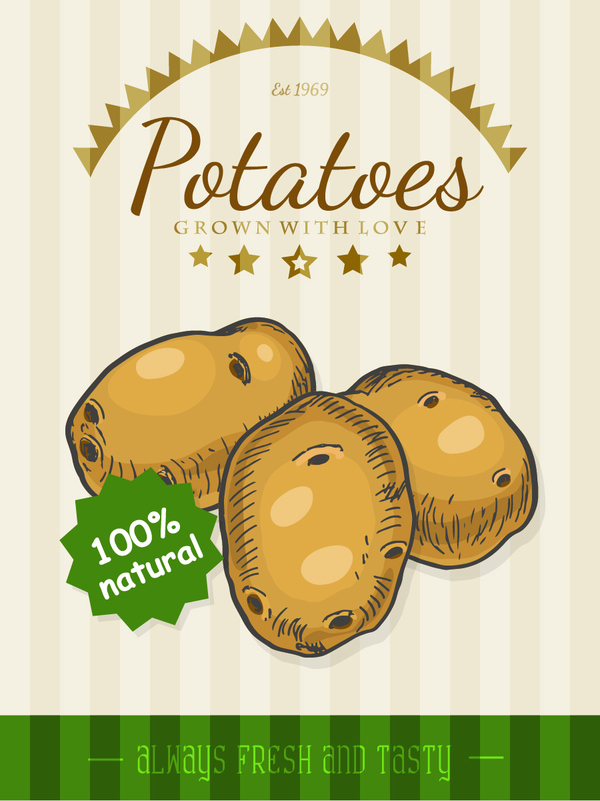 Potatoes poster vector