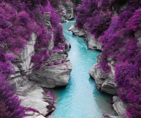 Purple plants on both sides of the valley Stock Photo