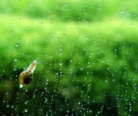 Rain beautiful sad Stock Photo