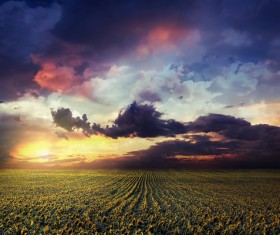 Red sunset HD picture 03