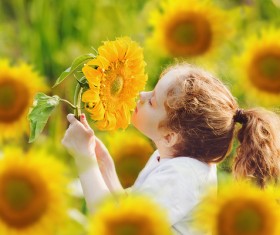 Smell the sunflower little girl HD picture