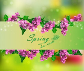 Spring postcars with beautiful flowers vector 06