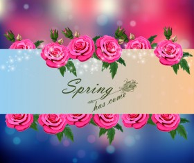 Spring postcars with beautiful flowers vector 07
