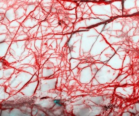 Stone texture closeup Stock Photo 16