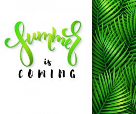 Summer background with palm leaves vector