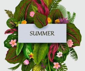 Summer background with tropical plant and flower vector 02