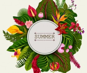 Summer background with tropical plant and flower vector 12