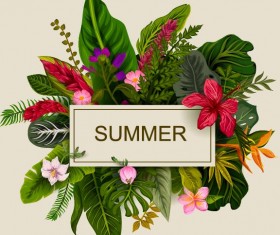 Summer background with tropical plant and flower vector 15