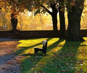 Sunny park scenery Stock Photo