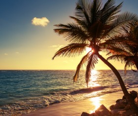 Sunrise tropical island beach view HD picture 04