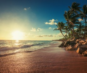 Sunrise tropical island beach view HD picture 06