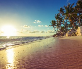 Sunrise tropical island beach view HD picture 07