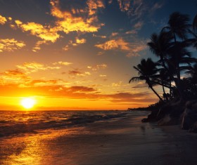 Sunset tropical island beach view Stock Photo 03
