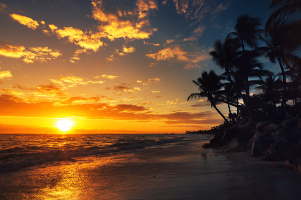 tropical island beach sunset