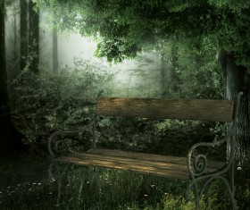 The benches in the forest Stock Photo