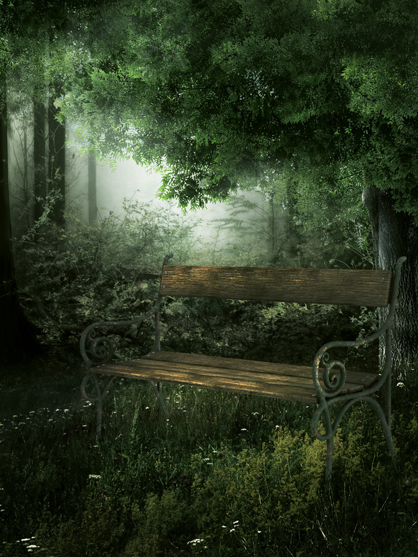 The benches in the forest Stock Photo
