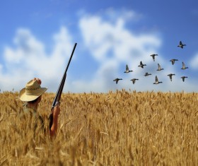 The hunter in the golden wheat field Stock Photo