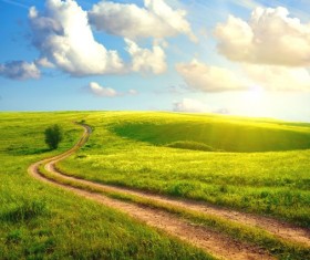 The rut on the meadow Stock Photo