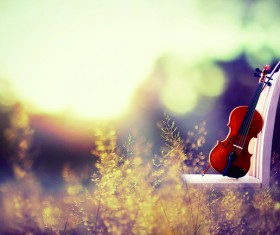 The violin on the bench Stock Photo