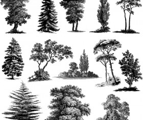 Various tree silhouette vectors set 02