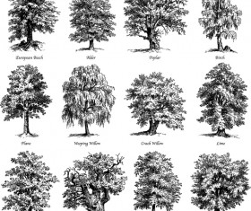 Various tree silhouette vectors set 03