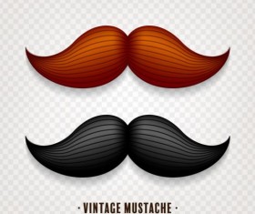 Vintage mustache vector illustration design 01