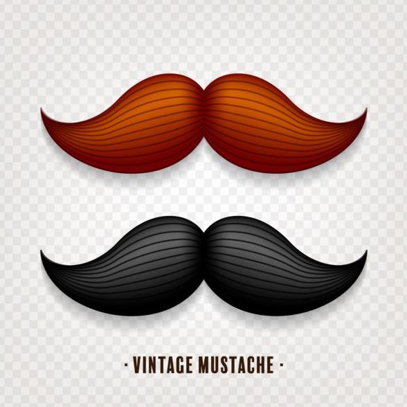 Vintage mustache vector illustration design 01
