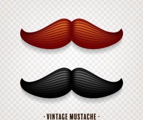 Vintage mustache vector illustration design 02