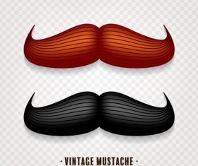 Vintage mustache vector illustration design 04
