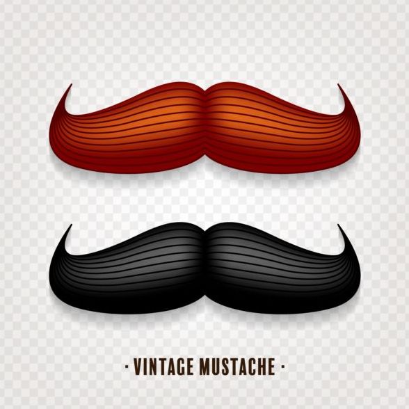 Vintage mustache vector illustration design 04