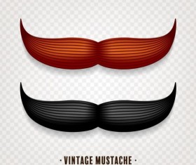Vintage mustache vector illustration design 05