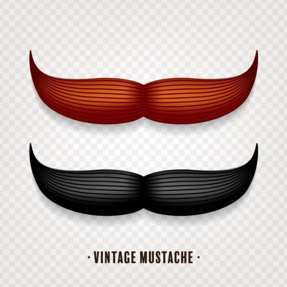 Vintage mustache vector illustration design 05