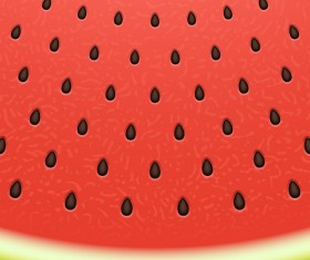 Watermelon background design vector 01