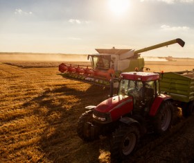 Wheat combine harvesters Stock Photo