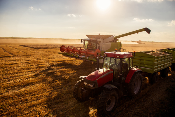 Wheat combine harvesters Stock Photo