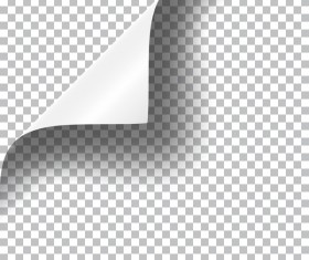 White paper curled corners vector illustration 03