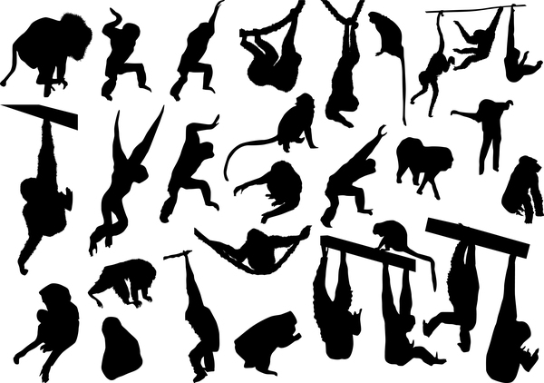 animal monkey silhouette vector 02