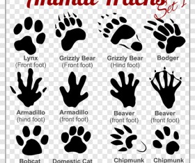 animals tracks vector material 01