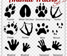 animals tracks vector material 02