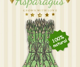 asparagus poster retro vector design