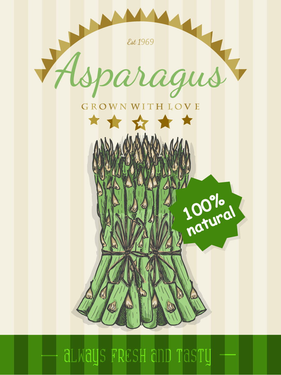 asparagus poster retro vector design